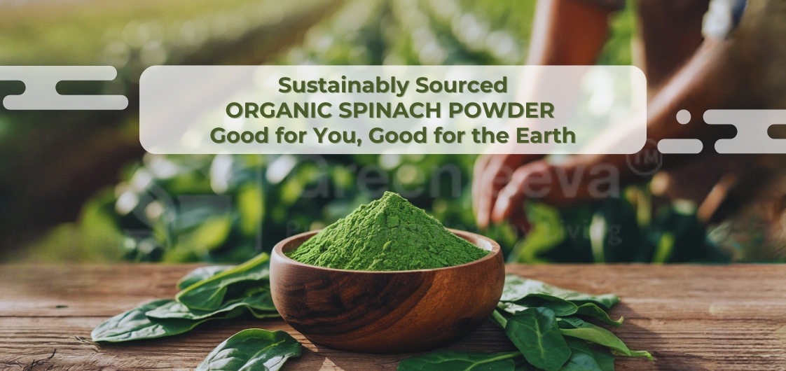Organic Spinach Powder is a Must for Your Products